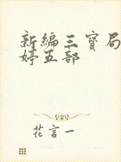 新编三宝局长许婷五部