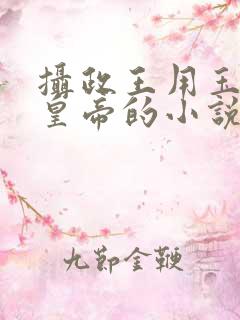 摄政王用玉髓整皇帝的小说