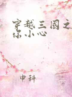 穿越三国之孔明你小心