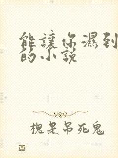 能让你湿到不行的小说