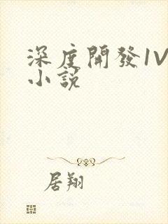 深度开发1V3小说