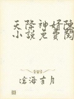 天降神婿陈黄皮小说免费阅读