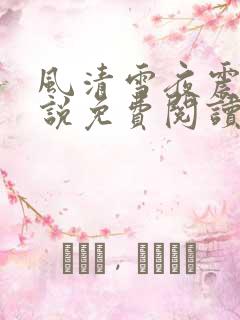 风清雪夜震风小说免费阅读