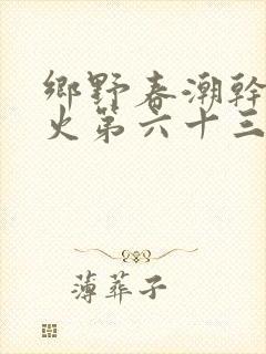 乡野春潮干柴烈火第六十三章