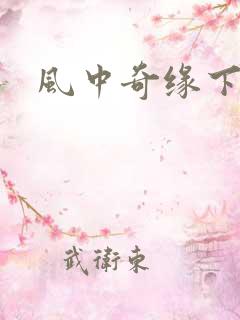 风中奇缘下载