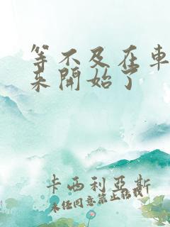 等不及在车里就来开始了