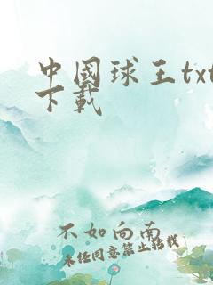 中国球王txt下载