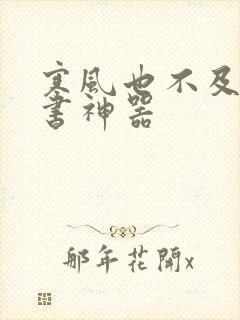 寒风也不及她追书神器