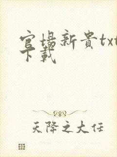 官场新贵txt下载