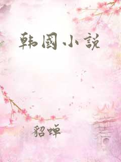韩国小说