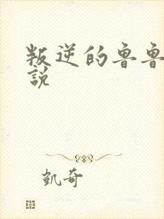 叛逆的鲁鲁修小说