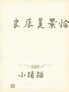 良辰美景恰似你