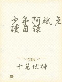 少年阿斌免费阅读目录