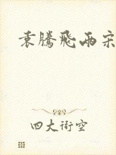 袁腾飞两宋风云