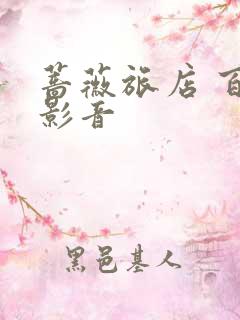 蔷薇旅店 百度影音