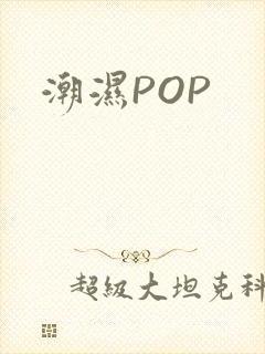 潮湿POP