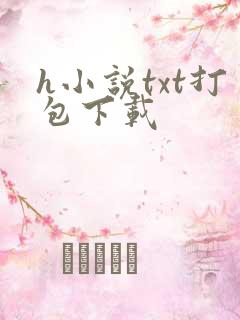 h小说txt打包下载