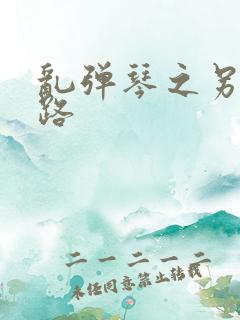 乱弹琴之另一条路