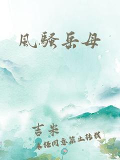 风骚岳母