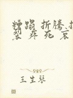 糟蹋 折腾 撕裂 疼 死 哀求