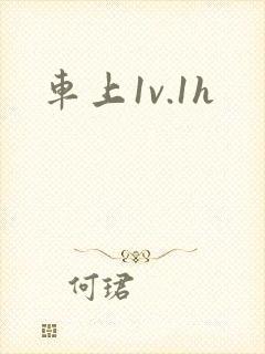 车上1v.1h