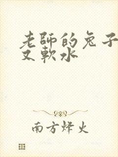 老师的兔子又大又软水