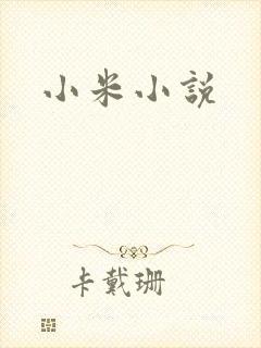 小米小说
