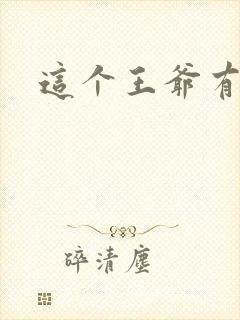 这个王爷有点坏