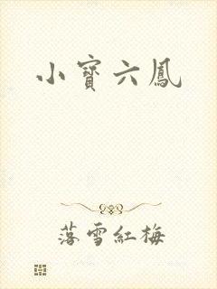 小宝六凤