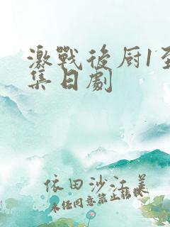 激战后厨1至5集日剧