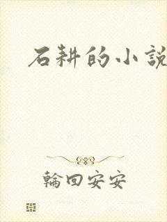 石耕的小说