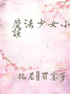 魔法少女小圆小说