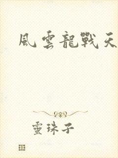 风云龙战天下