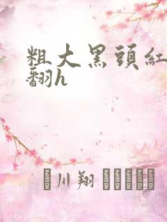 粗大黑头红肿外翻h