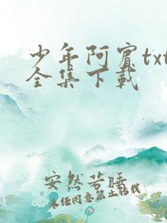 少年阿宾txt全集下载