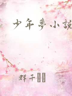 少年梦小说