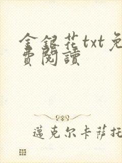 金银花txt免费阅读