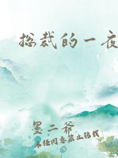 总裁的一夜情人