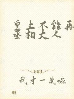 皇上不能再进了丞相大人