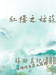 红楼之姑苏林家