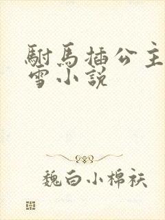 驸马插公主恋战雪小说