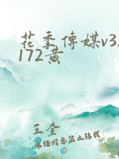 花季传媒v3.172黄