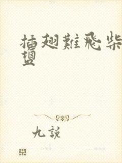 插翅难飞柴米油盐