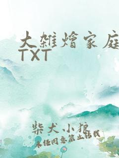 大杂烩家庭小说TXT
