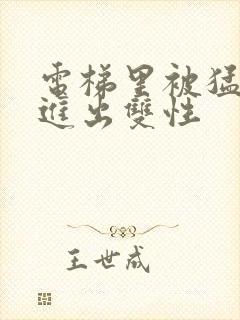 电梯里被猛烈的进出双性