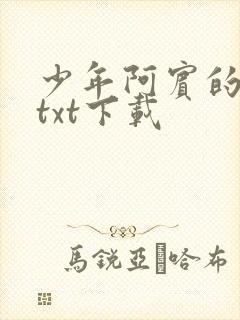 少年阿宾的故事txt下载