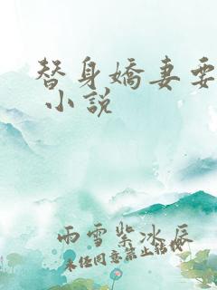 替身娇妻要离婚 小说