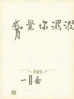 感觉你湿润我四月