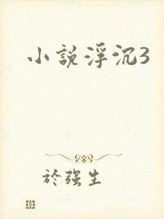 小说浮沉3