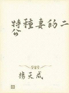 特种妻的二手老公